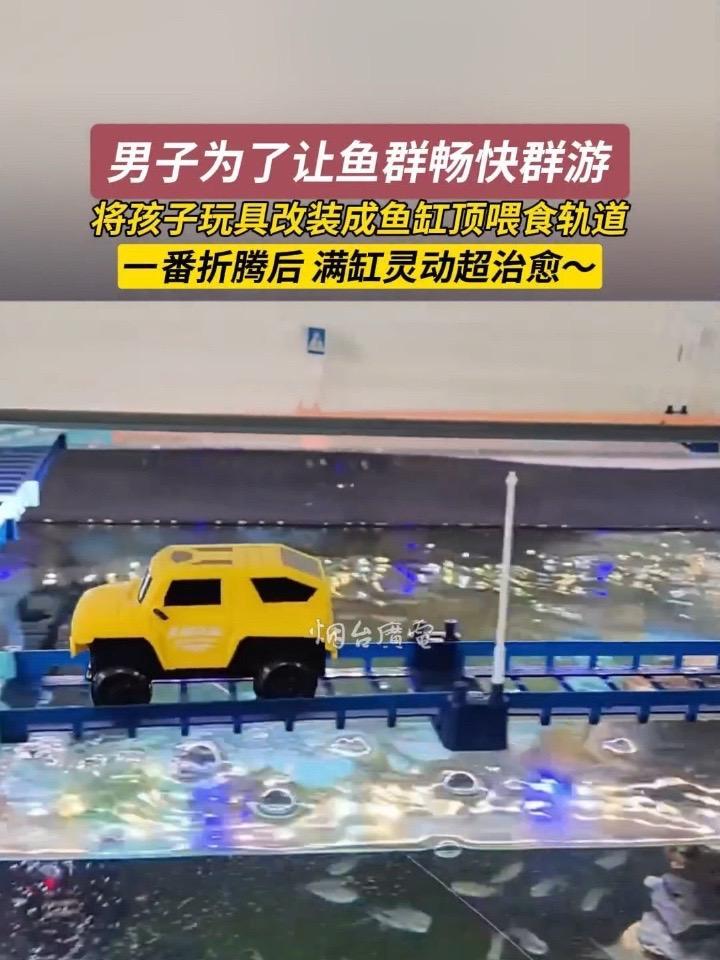 11月29日（采访时间），山东。养鱼人的奇思妙想，靠娃的玩具改装轨道竟成了！看着鱼群穿梭，