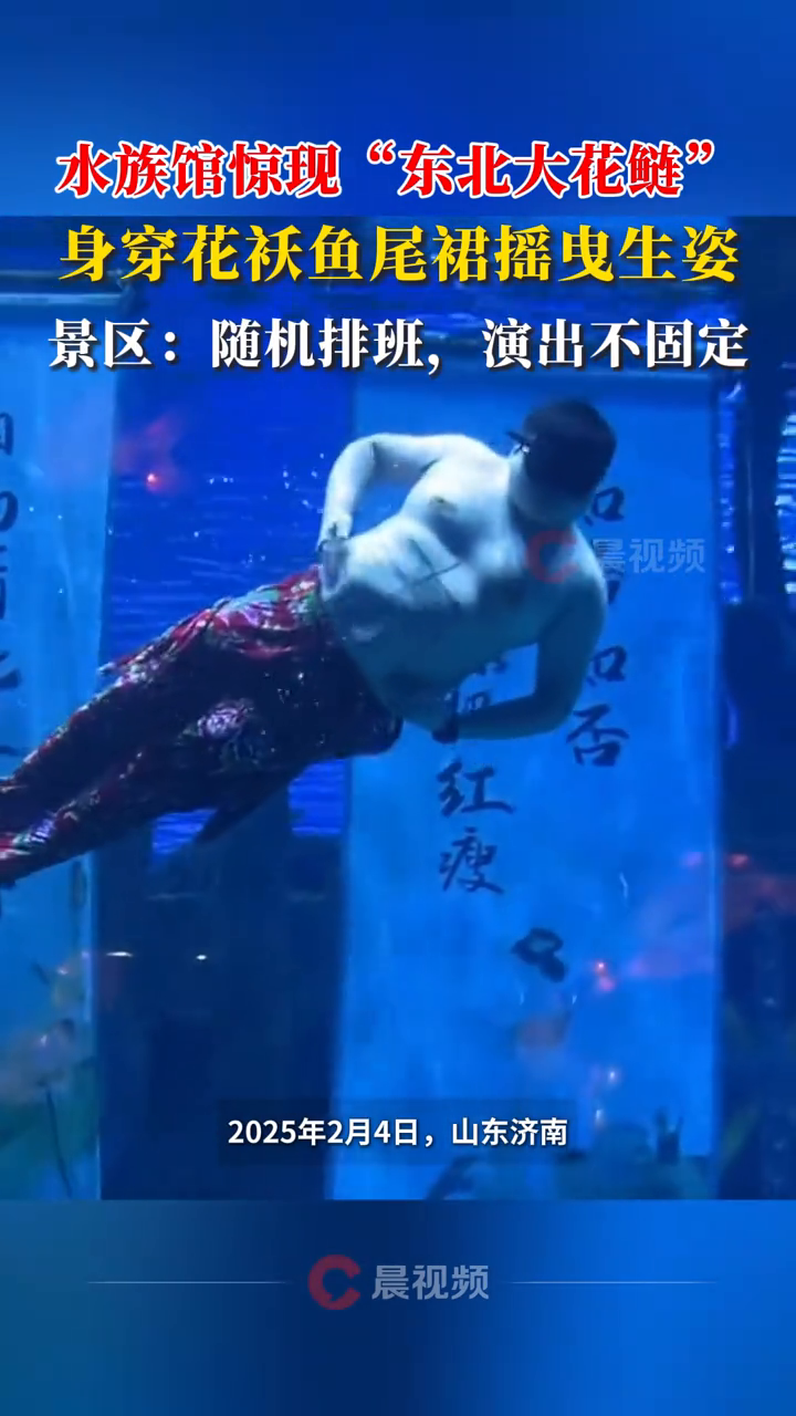 水族馆惊现“东北大花鲢”,身穿花袄鱼尾裙摇曳生姿
