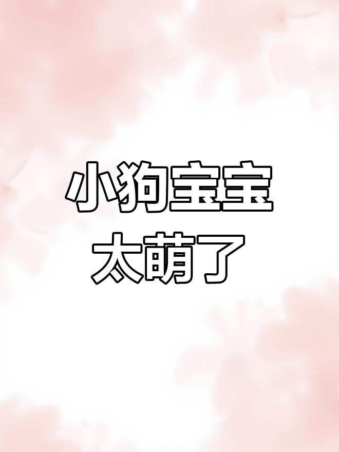 看到小猫,谁能不心动?爆米花夹子音太可爱了!