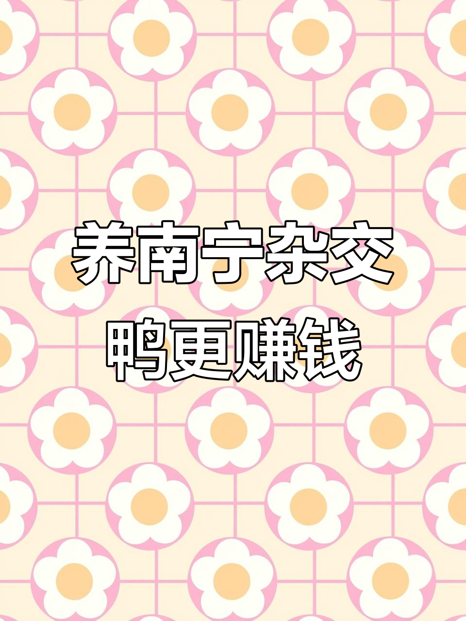 想养好鸭?选南宁金光郊区杂交鸭,实力与魅力并存