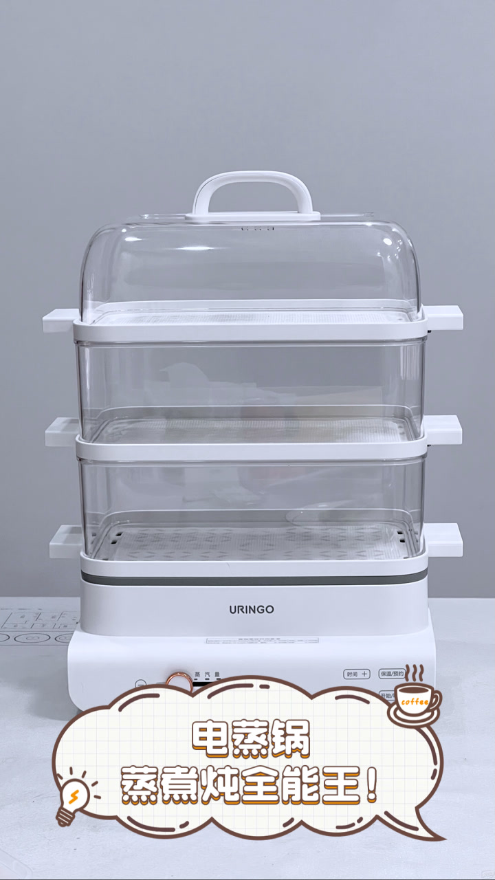 电蒸锅,蒸煮炖全能王!