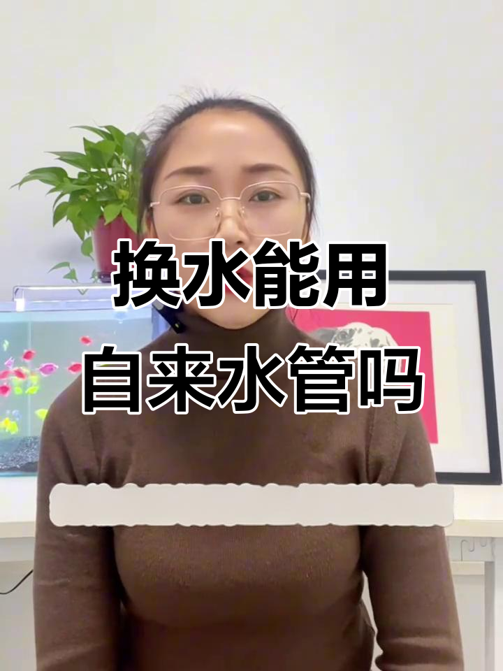 更换鱼缸水时,自来水能直接加吗?