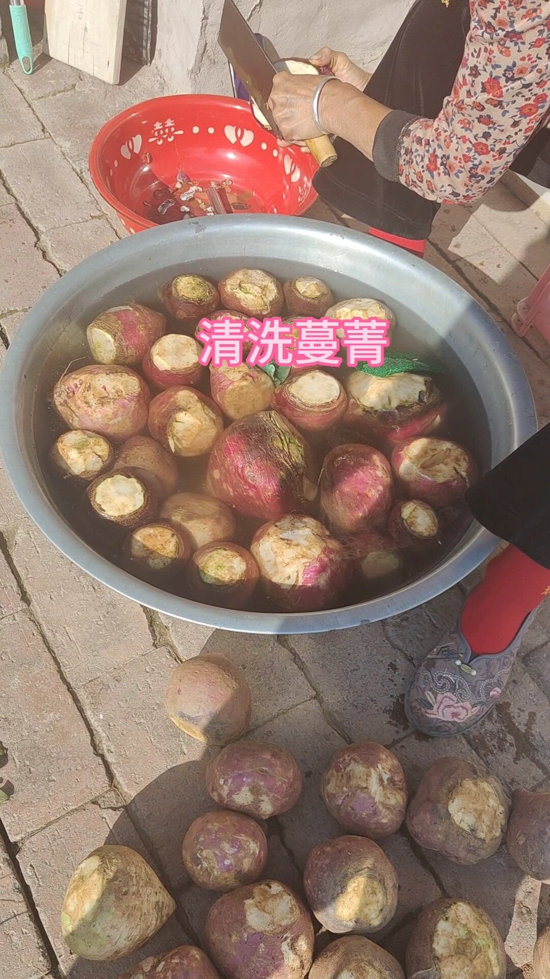 学做菜之蔓菁黑咸菜～