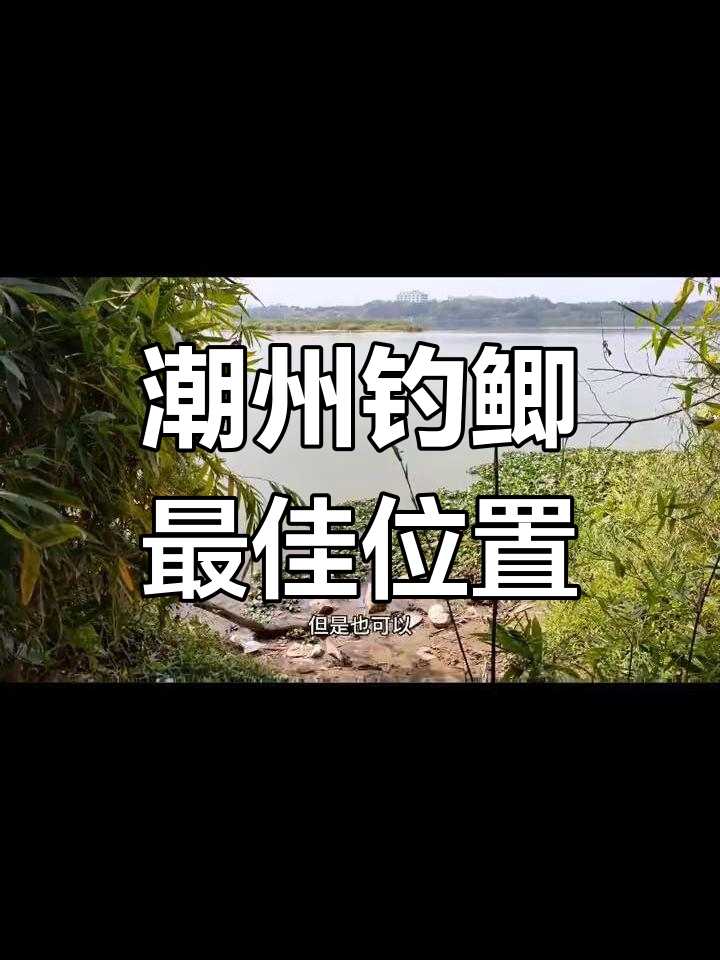 潮州韩江钓鱼点推荐,水质好鱼种多!