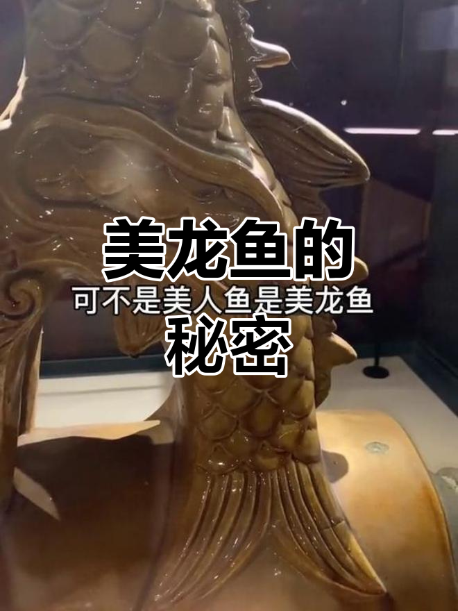故宫隐藏神兽美龙鱼,龙头鱼尾灭火防灾