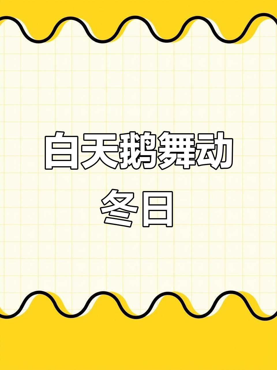 山西运城黄河湿地雪景中的白天鹅,翩翩起舞如精灵