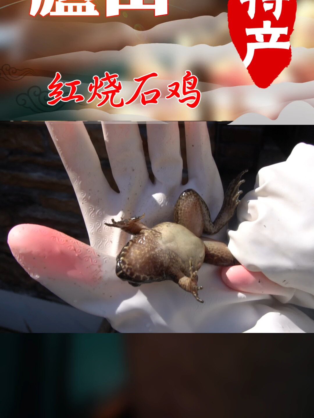 庐山上餐馆最贵的一道菜是什么?跟我来看看