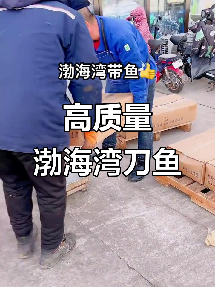 渤海湾刀鱼新鲜到货,皮厚肉肥,品质上乘