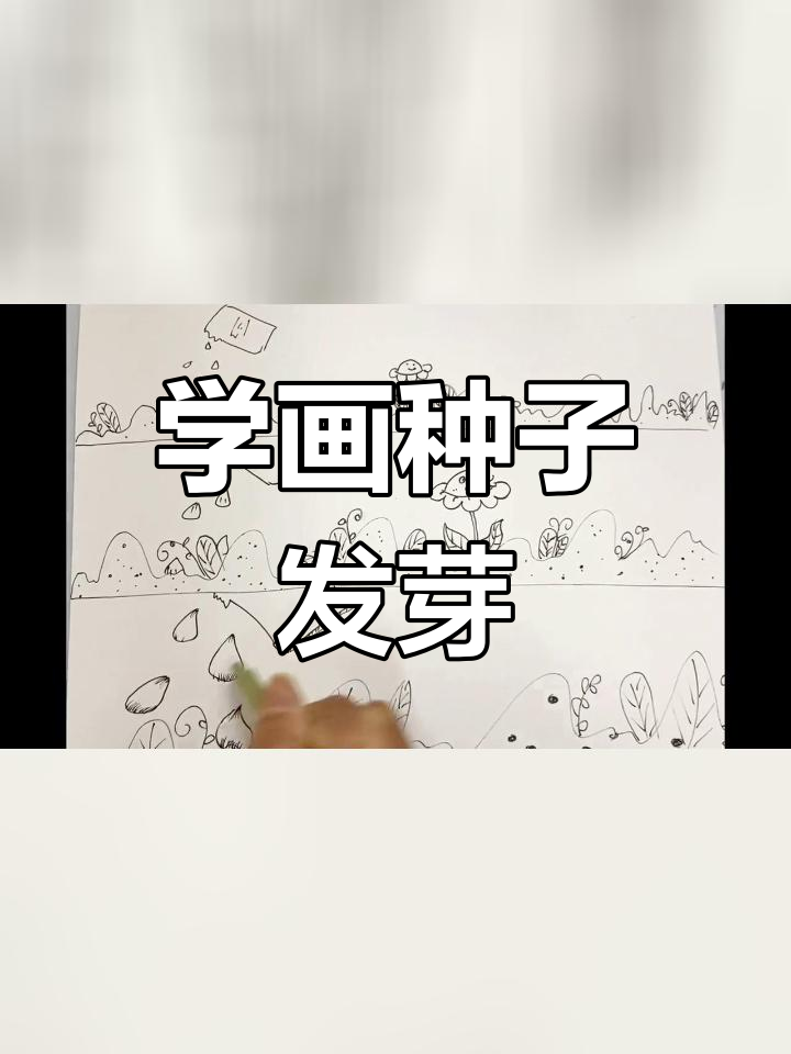 播种与发芽的简笔画教程