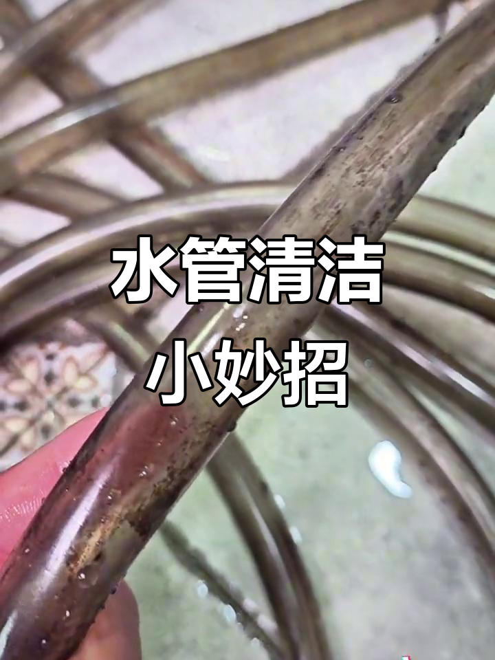 清理鱼缸水管,这个小技巧让你轻松搞定!