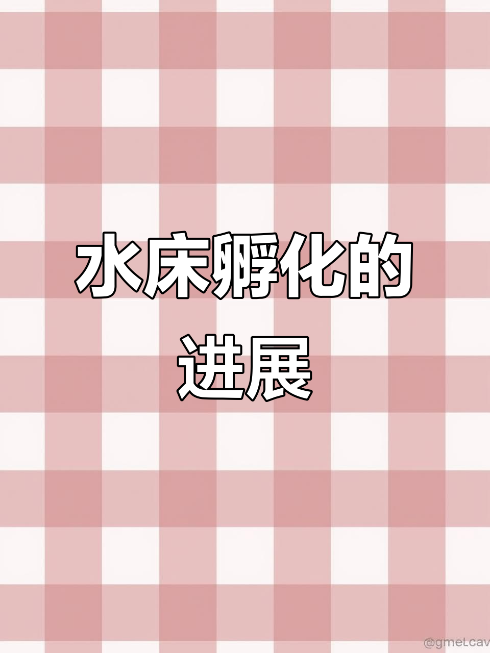 孵化蛋发育情况大揭秘,绿壳乌鸡与土鸡蛋的成长对比