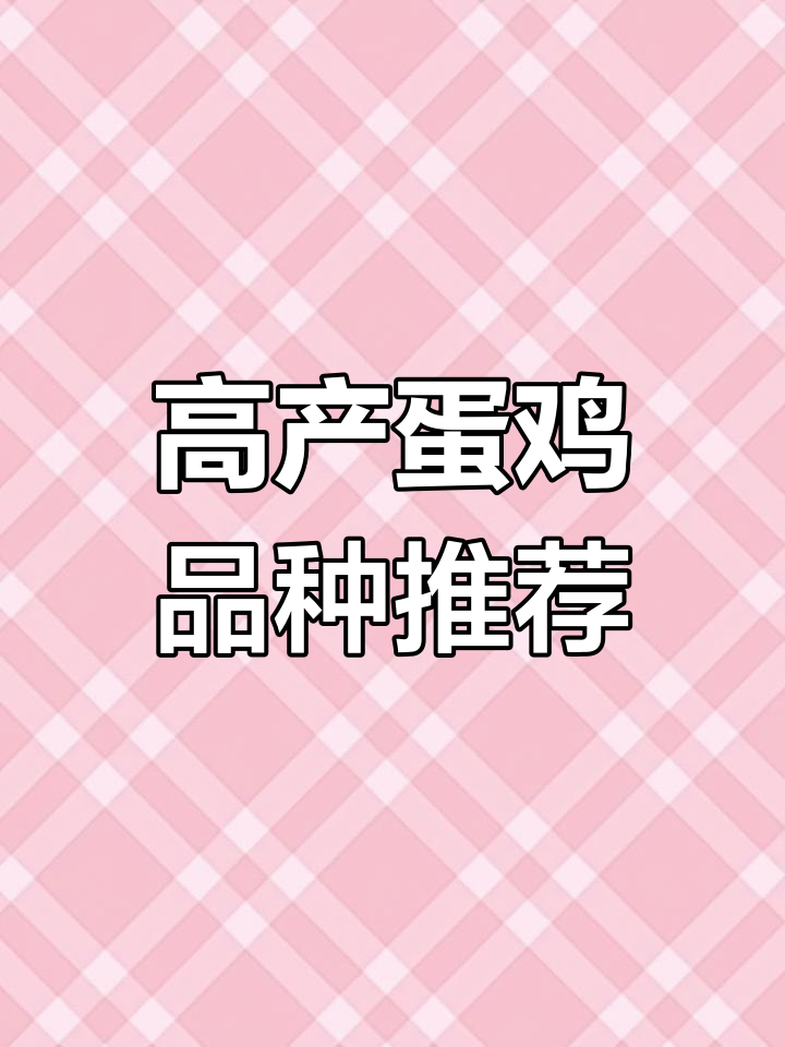 哪些蛋鸡品种最能多产蛋?了解高产蛋王