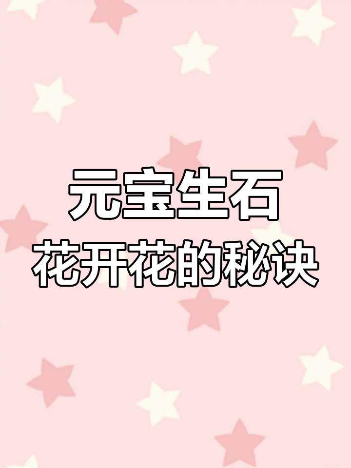 元宝生石花养护全攻略,开花前必做修剪