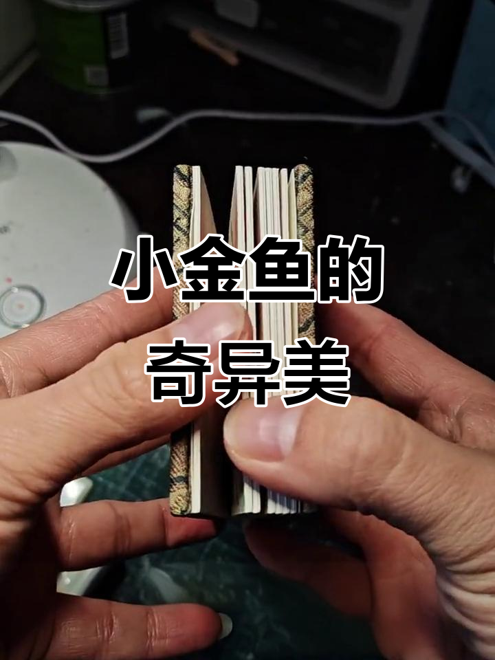 珍珠鳞小金鱼,圆滚滚的身子与独特的美感