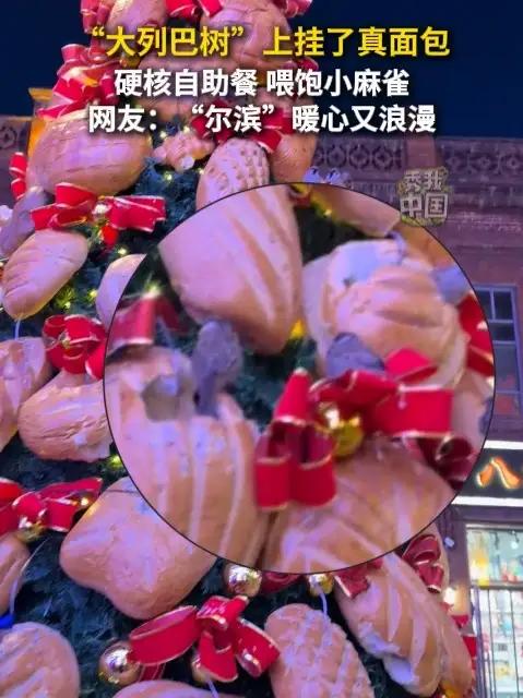 “大列巴树”上挂了真面包,硬核自助餐,喂饱小麻雀。网友:“尔滨”暖心又浪漫!