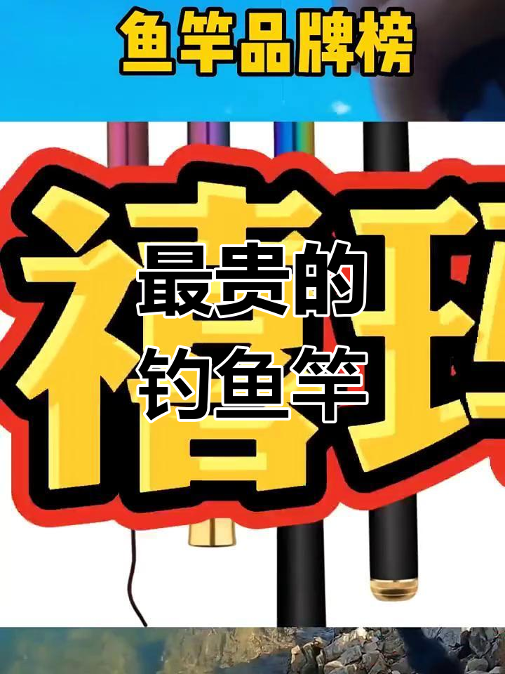 你买过的最贵鱼竿是什么?