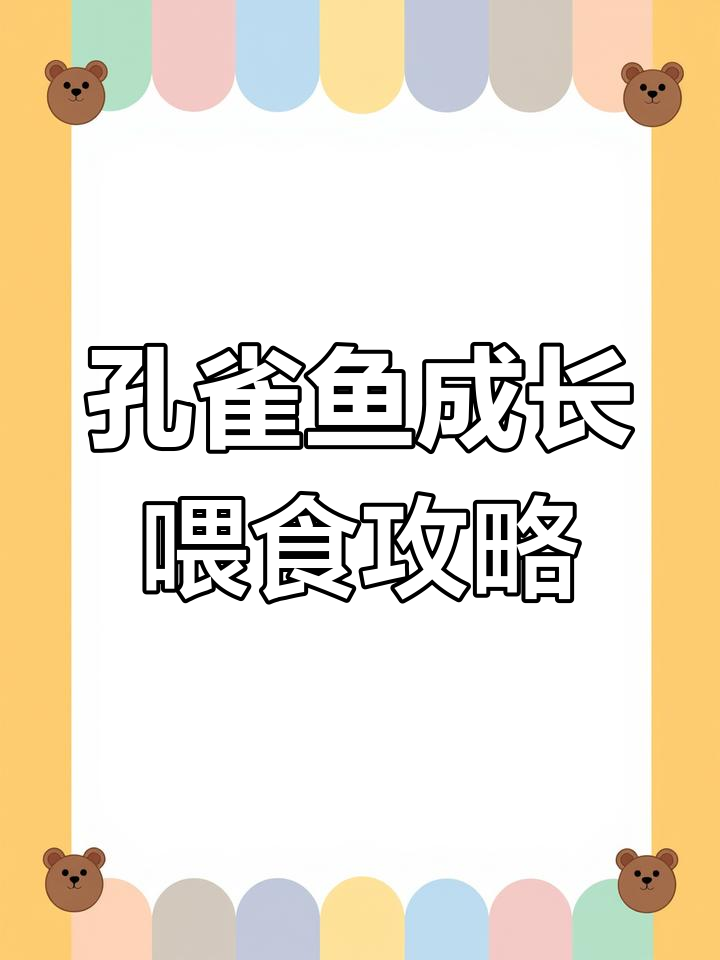 孔雀鱼生长阶段喂养技巧,如何让它们快速长大