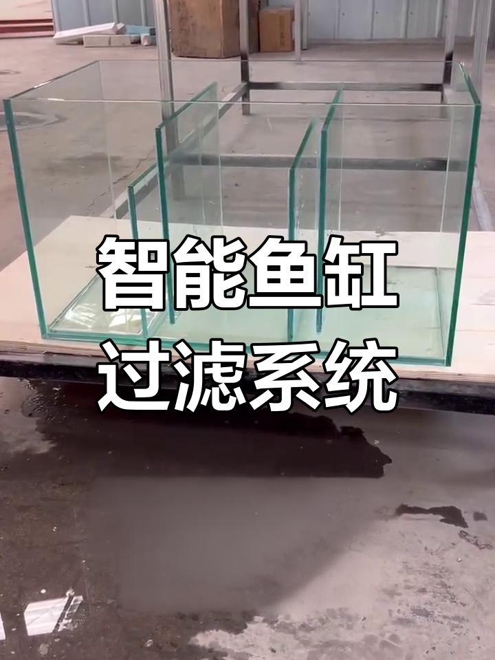 鱼缸底滤制作全流程解析