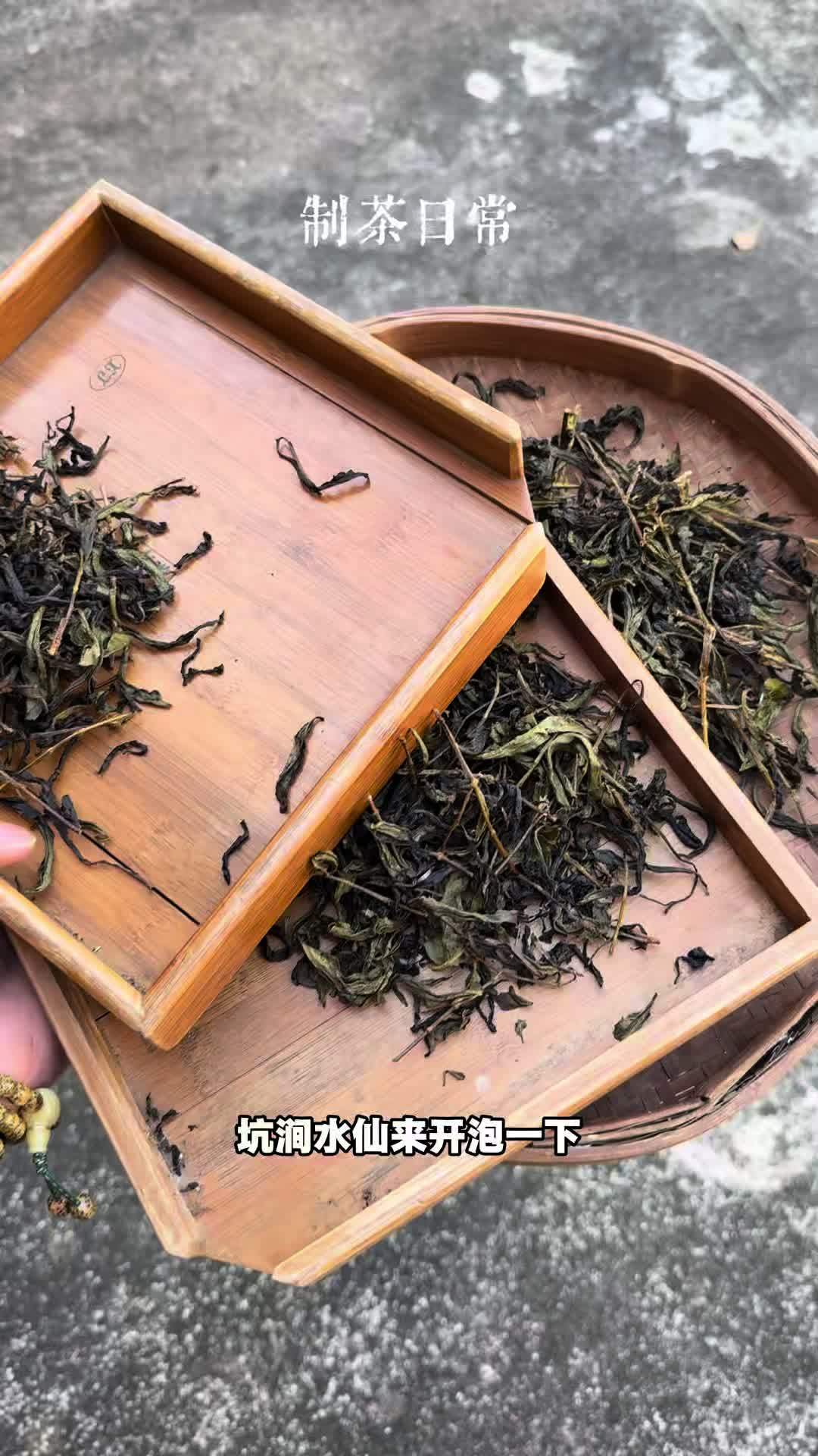 怎么样才能让你知道我是专业的呢 制茶日常 记得点赞#武夷岩茶 #正岩肉桂 #坑涧水仙