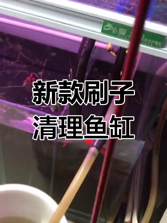 轻松清洁鱼缸底部,刷子大揭秘