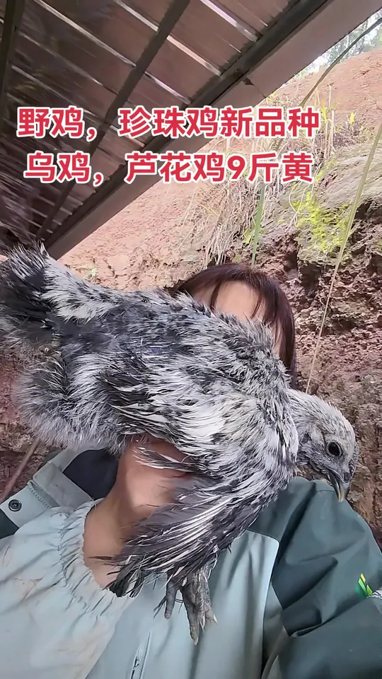 生活中的小确幸，你发现了吗？