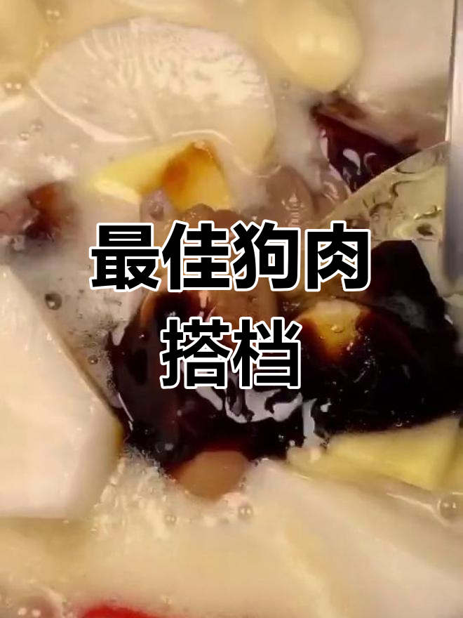 狗肉搭配推荐,黄焖做法最美味