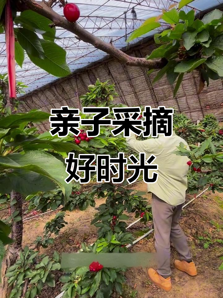 沈阳亲子游，福余采摘园乐趣多！