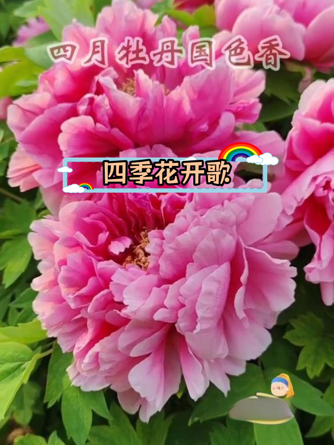 十二月花名歌朗读