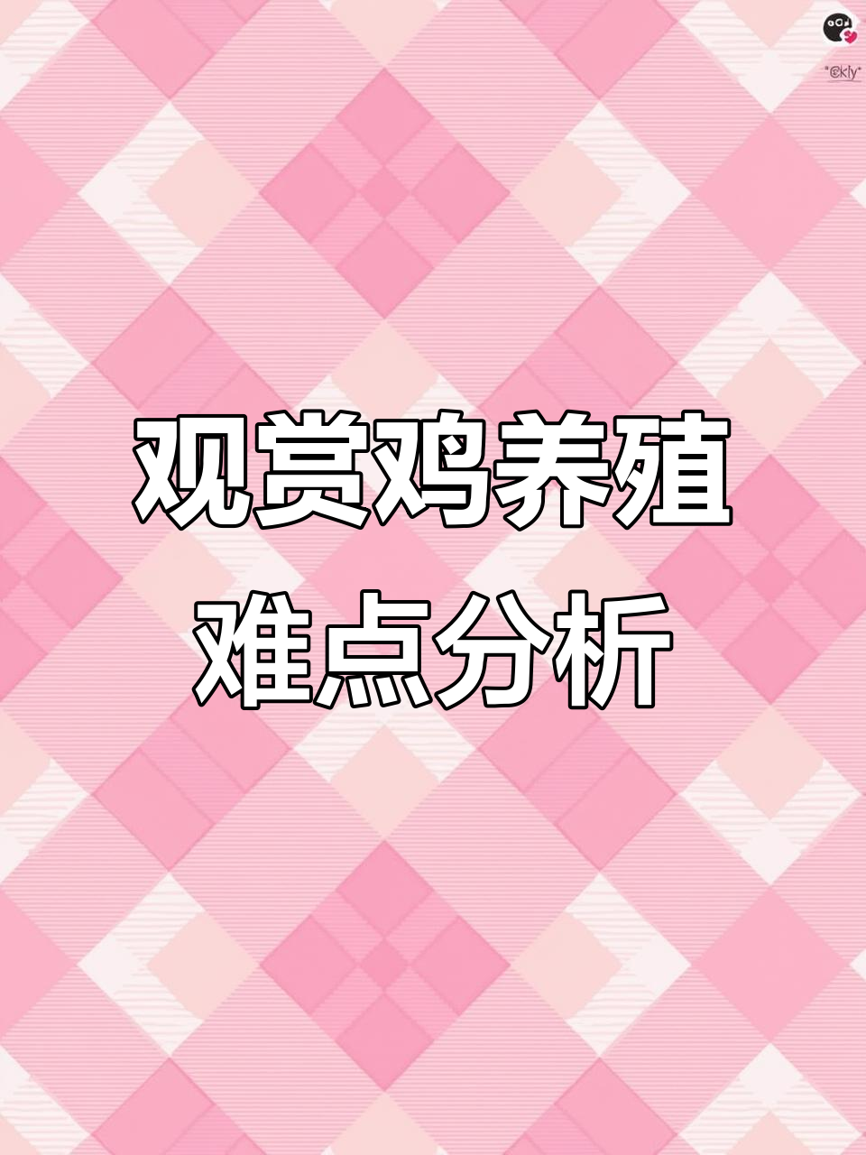 一代鸡养殖的挑战与机遇,了解观赏鸡的市场前景