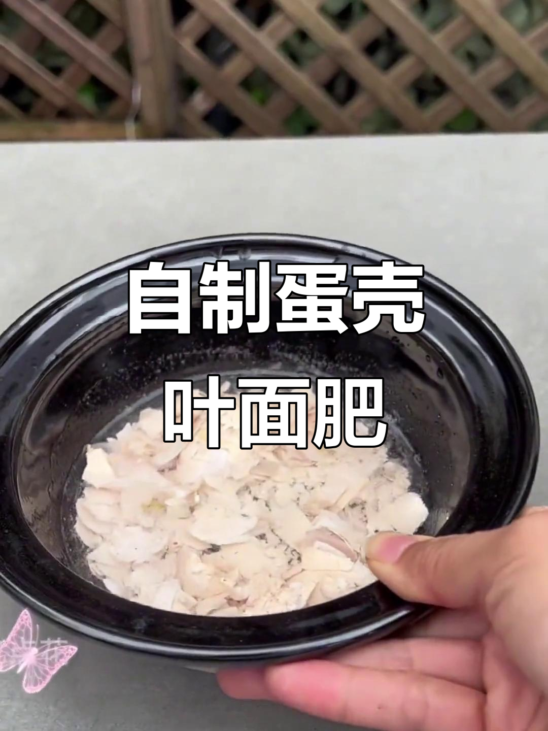 鸡蛋壳变绿植肥料，简单几步让植物更健康