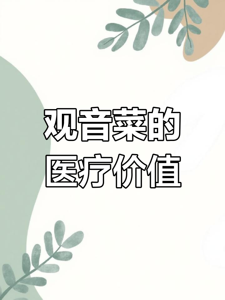 观音菜的多重功效:活血、解毒与消肿