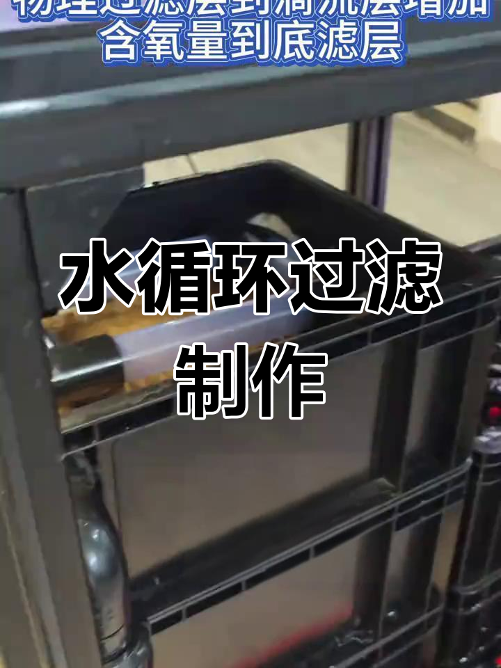 鱼缸水循环系统解析,轻松掌握原理