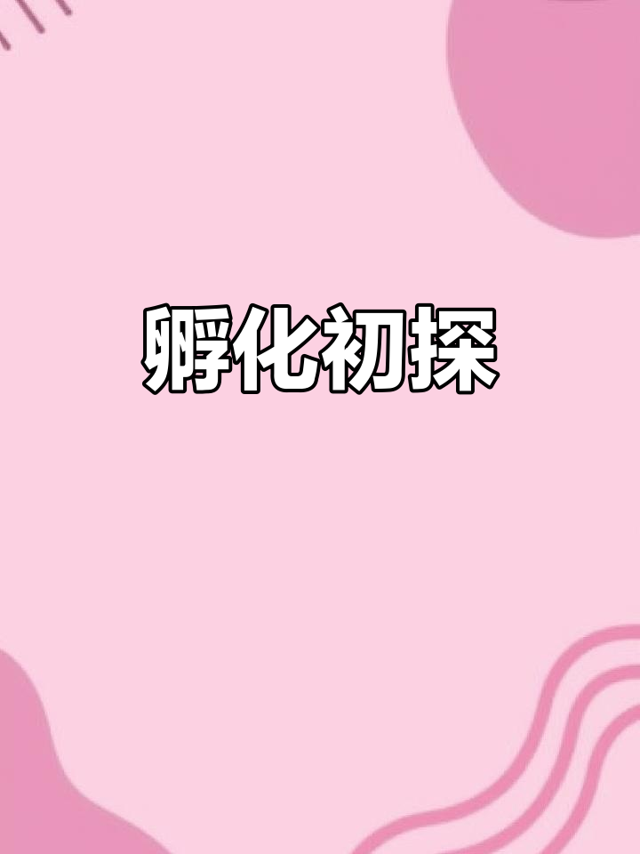 鸭蛋孵化首日,教你如何观察胚胎发育