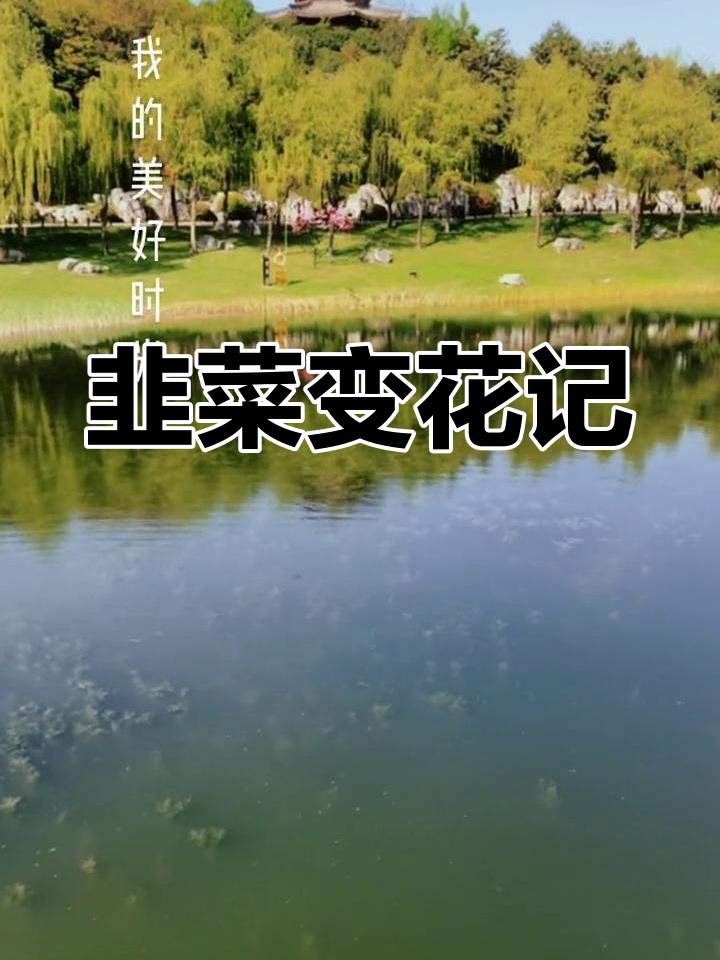 美容院海报设计模板,轻松打造个性化养生宣传