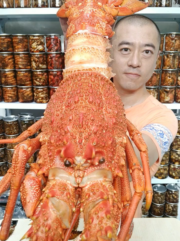 澳洲大龙虾
