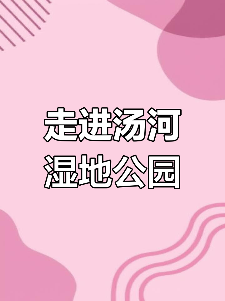 探秘汤河湿地公园,精灵家园的自然奇观