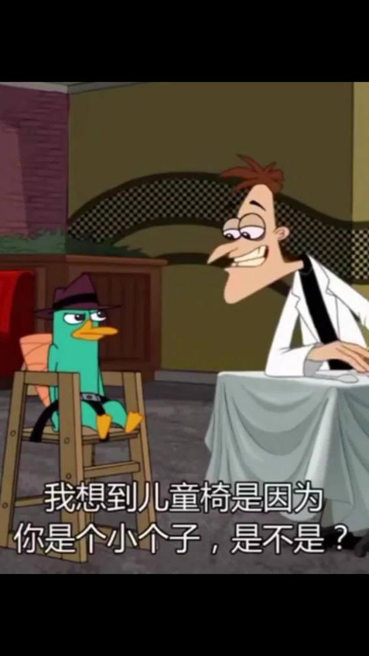 可爱宝宝鸭嘴兽泰瑞正在开心地吃东西