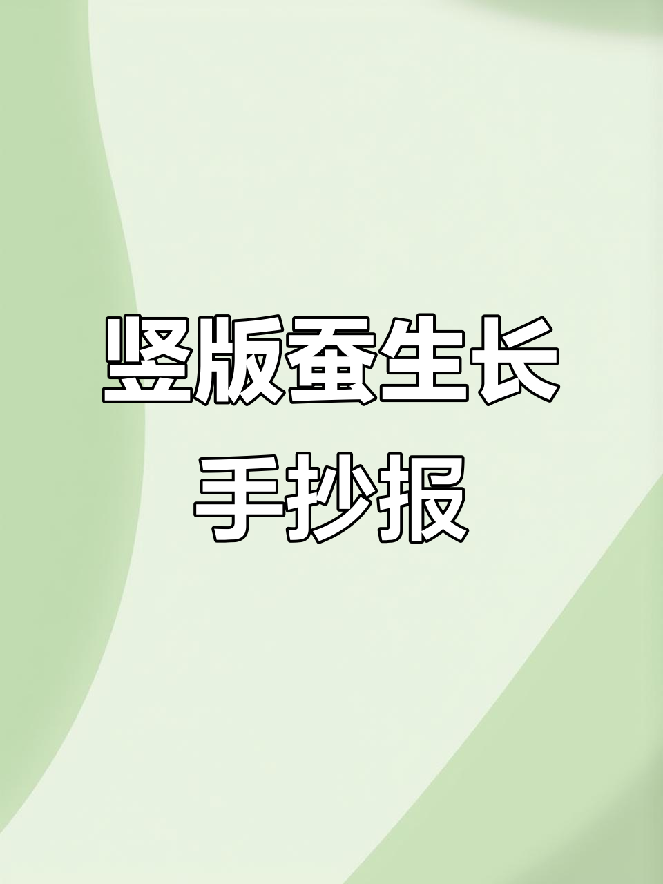 竖版蚕的一生手抄报,轻松掌握昆虫成长过程