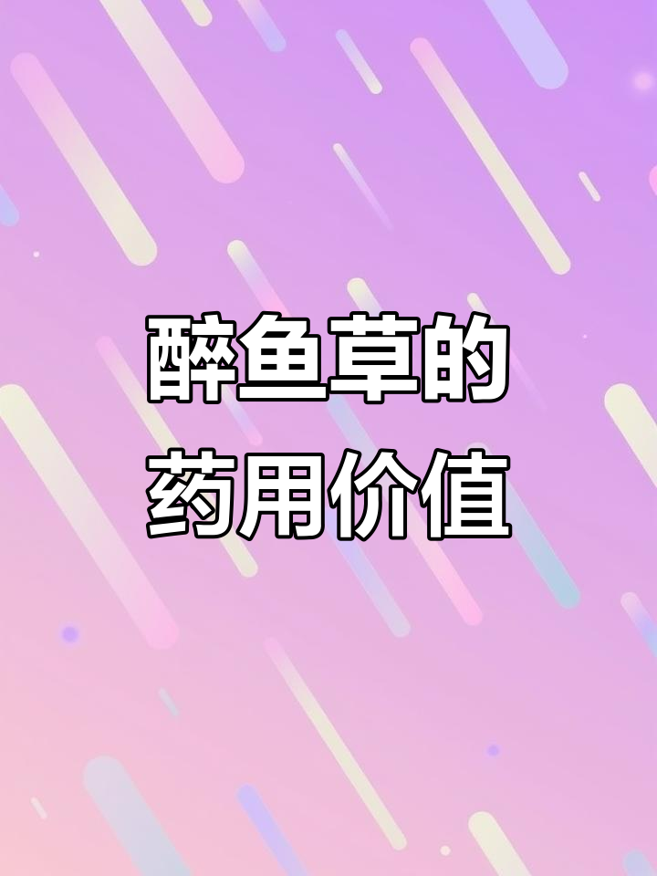 醉鱼草:一种神奇的中草药,了解它的功效与作用