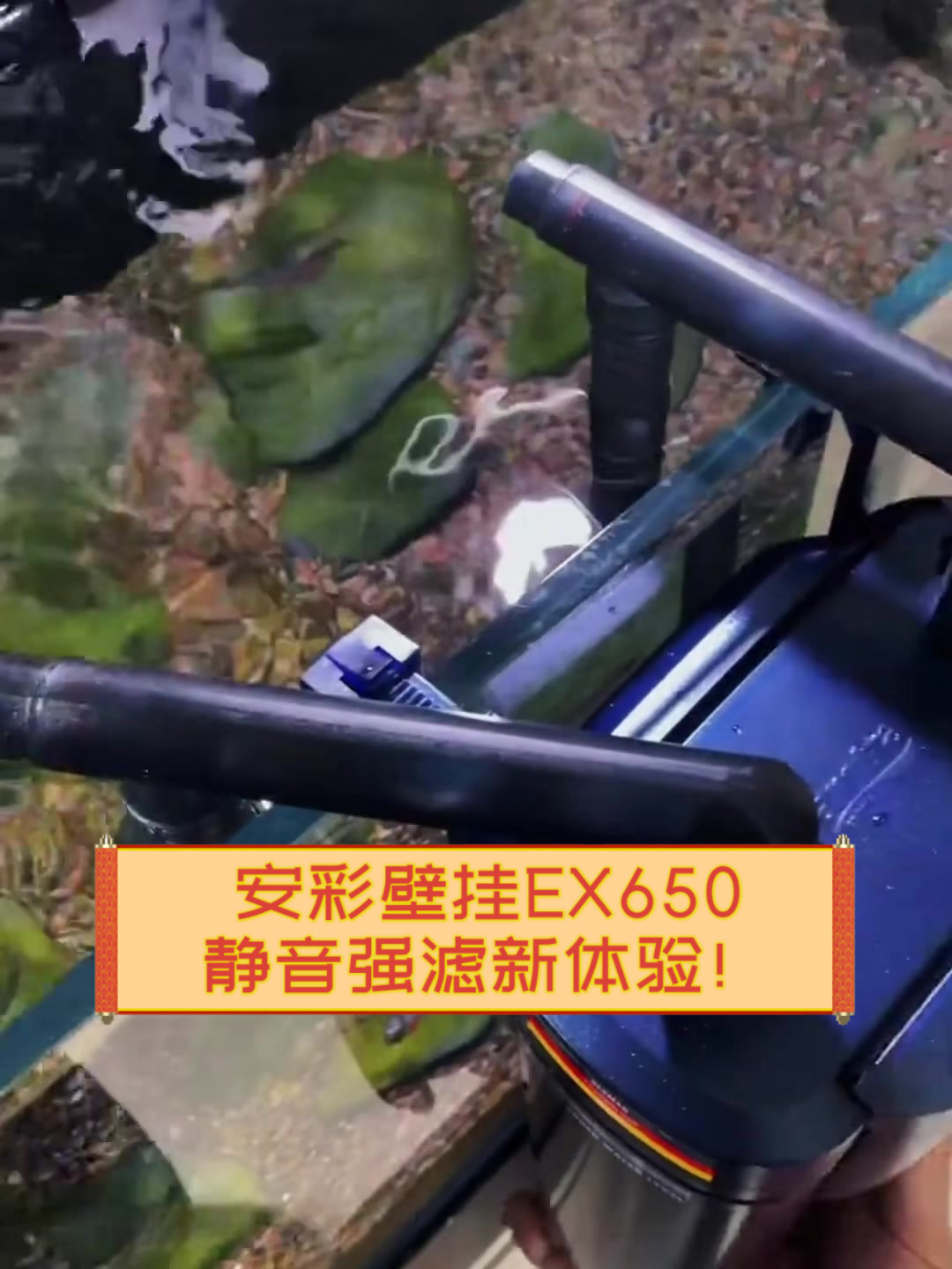 安彩壁挂EX650,静音强滤新体验!