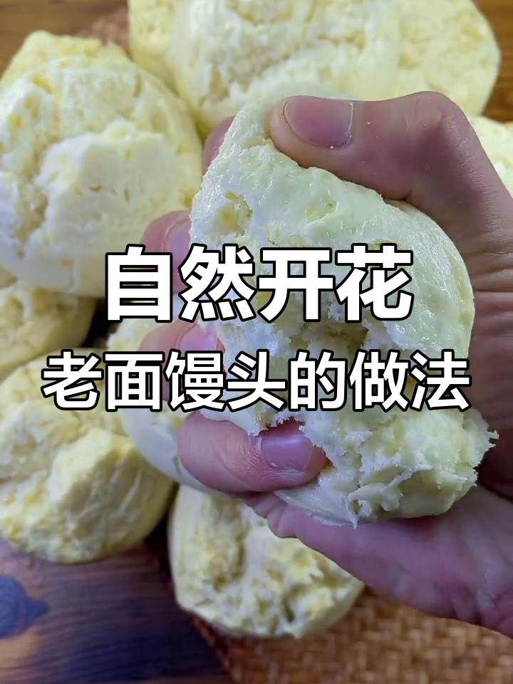 老面开花馒头,松软筋道又好看!