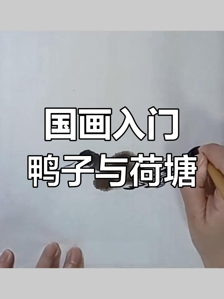 初学者必学国画技巧,鸭池塘水波与荷叶绘制教程