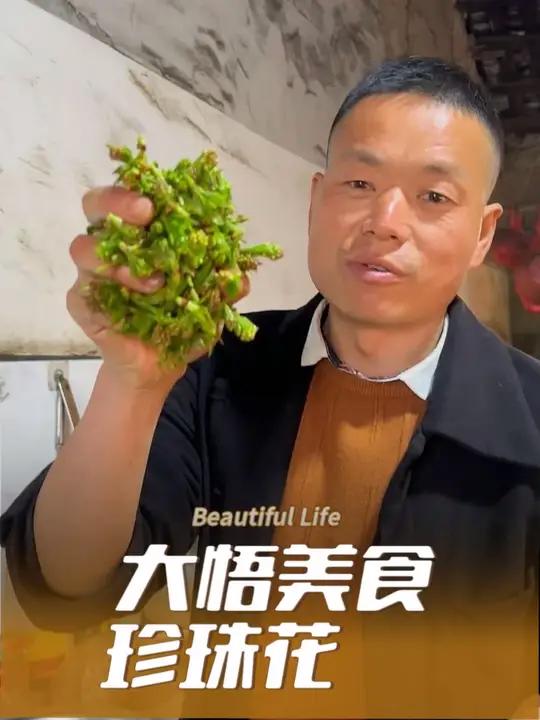 家乡春天美食珍珠花 #农村美食 #家乡特色美食 #农村特产 #珍珠花 #大悟
