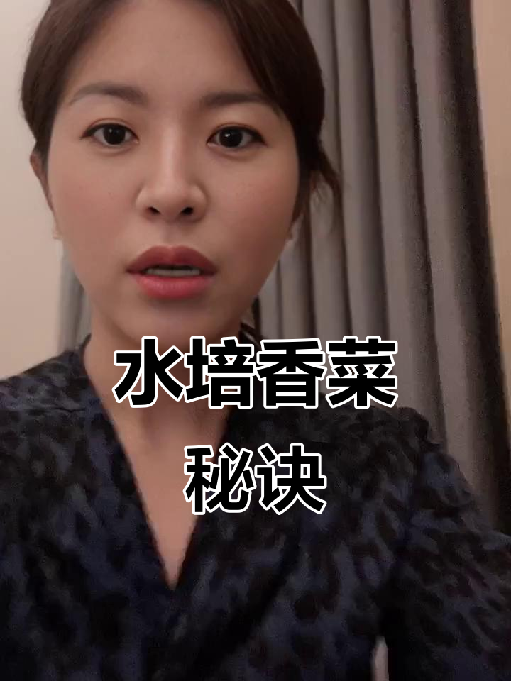 香菜根别丢,剪掉胡子种起来,轻松收获新鲜香草!