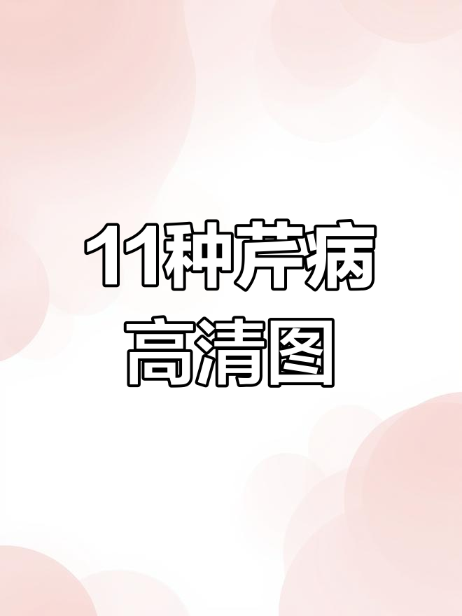 芹菜常见病害及防治方法全解析