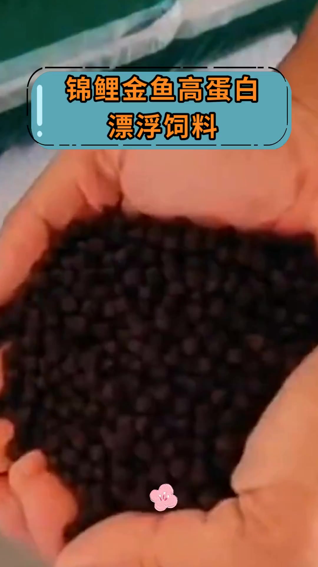 锦鲤金鱼高蛋白漂浮饲料
