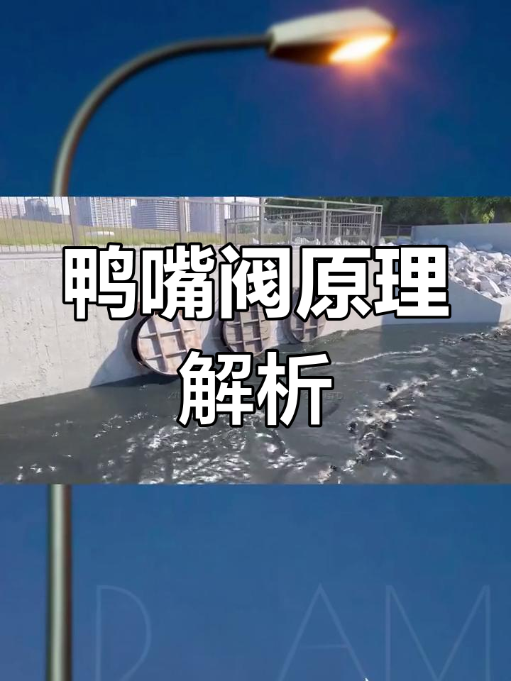 鸭嘴阀工作原理与结构解析