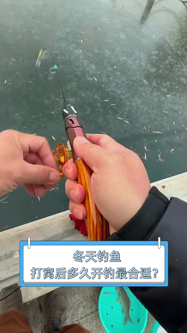 冬天钓鱼,打窝后多久开钓最合适?