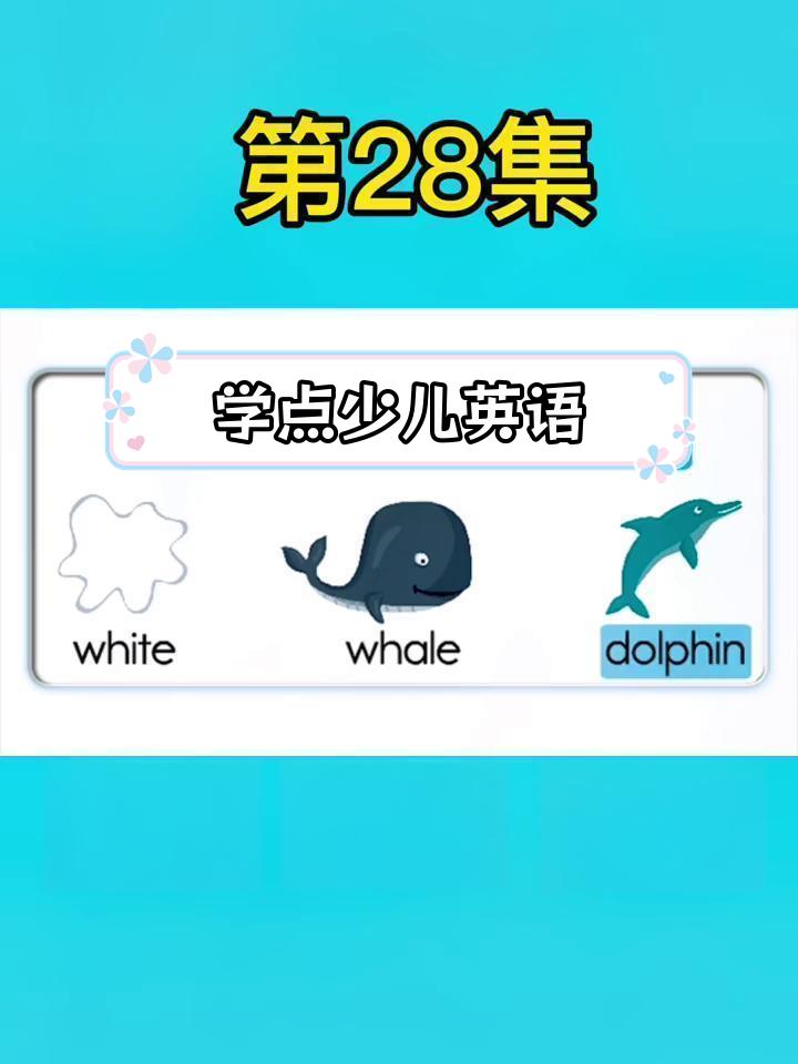零基础英语启蒙:白色、鲸鱼与海豚