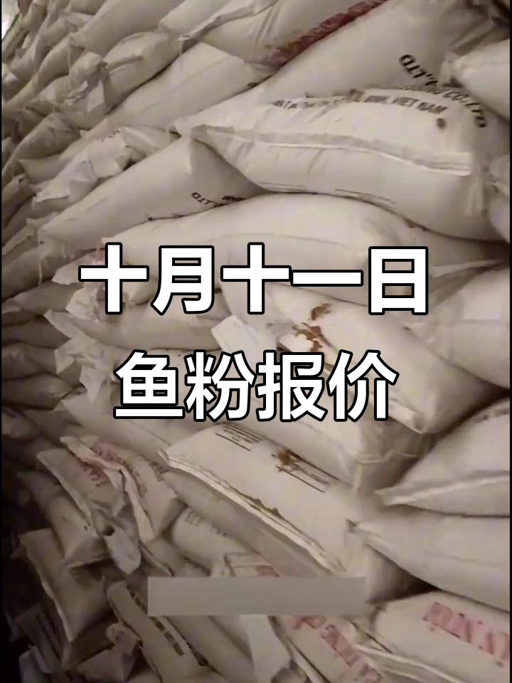10月11日鱼粉市场行情,秘鲁普通级价格波动解析